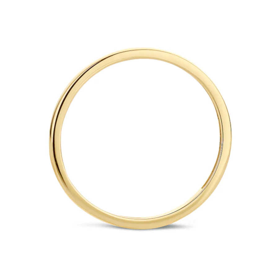 Blush 14 Karaat Gouden Ring1197YGO/46 (Maat: 46) - Image 5