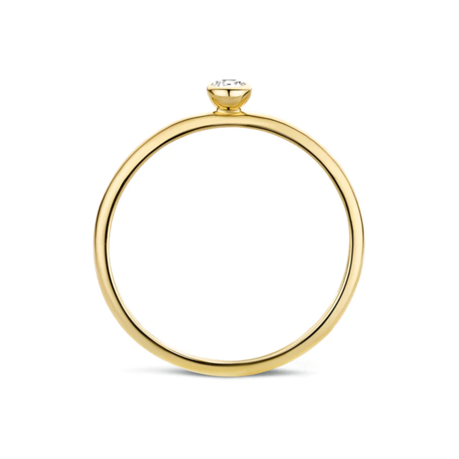 Blush 14 Karaat Gouden Ring1198YZI/46 (Maat: 46) - Image 6