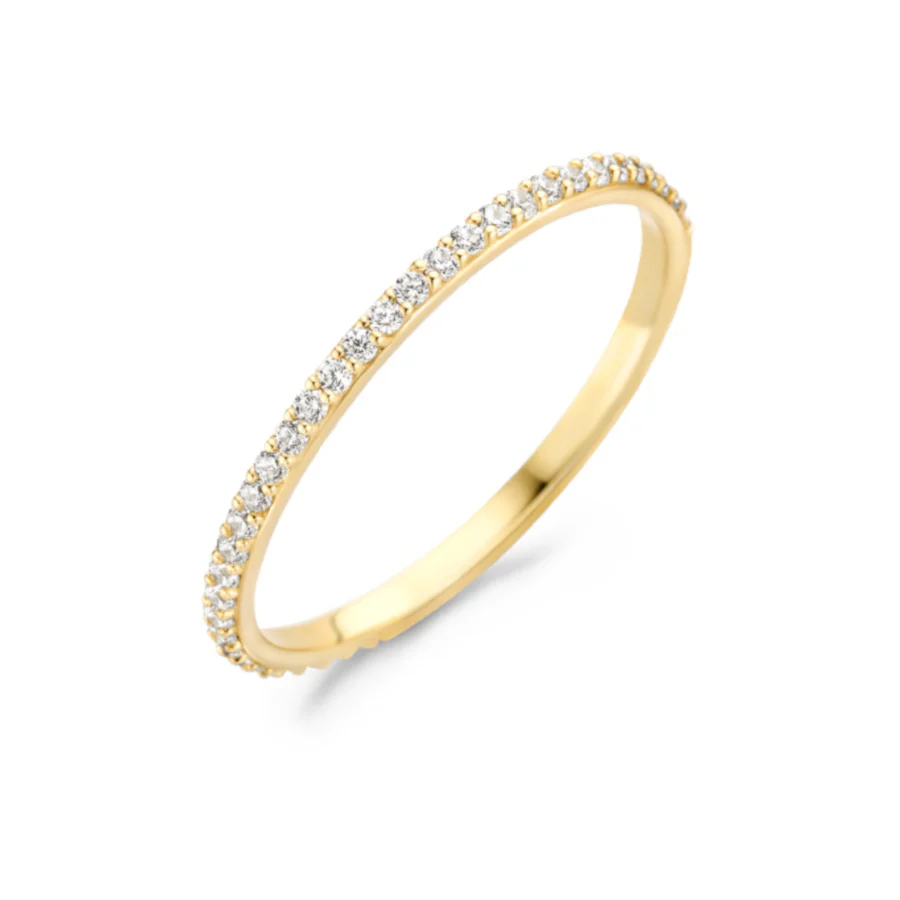 Blush 14 Karaat Gouden Ring1201YZI/46 (Maat: 46)