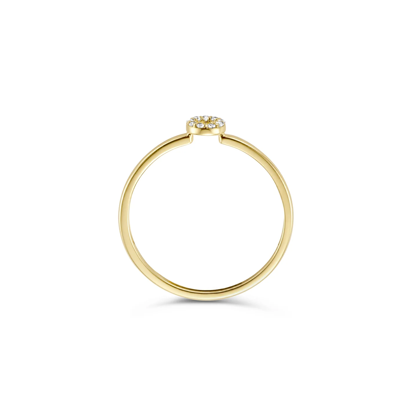Blush 14 Karaat Gouden Ring 1217YZI/56 - Image 5